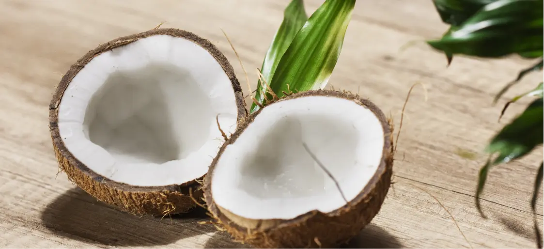 Coconut | Greensphere Global Coconut | Greensphere Global