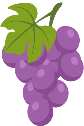 Grapes | Greensphere Global